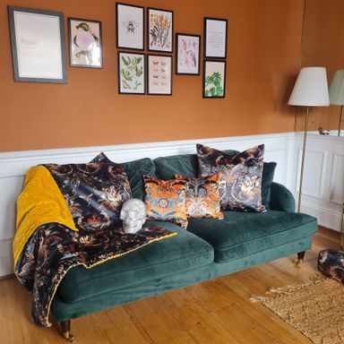 Scatter cushions