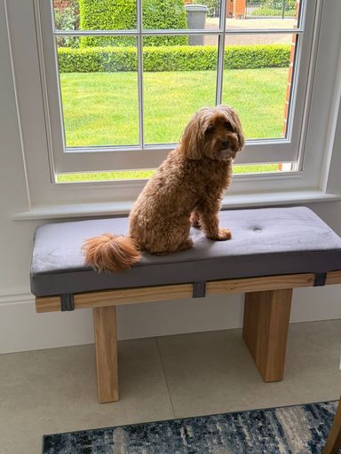 Bench cushion